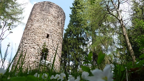 Käfernburg in Luisenthal Käfernburg in Luisenthal © Einheitsgemeinde Ohrdruf